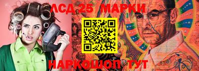 гидропоника Жуковский