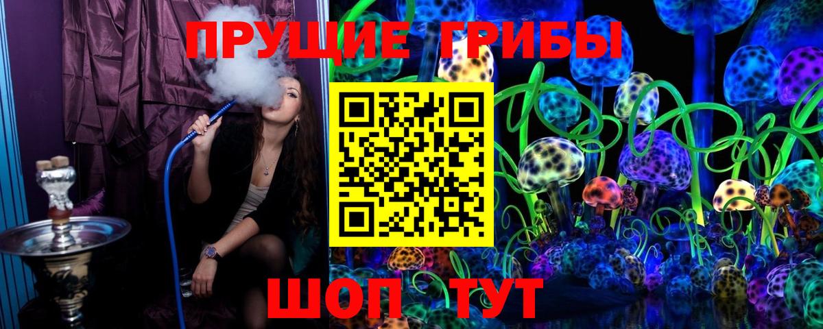 Псилоцибиновые грибы мицелий  Вход с VPN  Назрань 