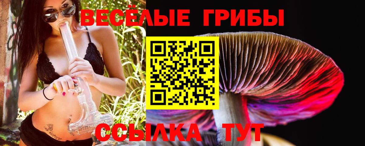Псилоцибиновые грибы MAGIC MUSHROOMS Назрань